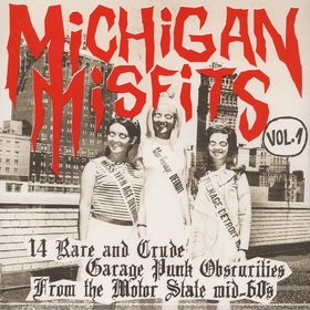 VARIOUS ARTISTS - Michigan Misfits Vol. 1
