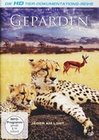 Geparden - Wildlife Edition