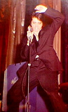 Elvis Presley - Wilde Elvis