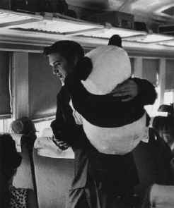 Elvis Presley - Train Panda