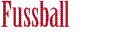 Fussball